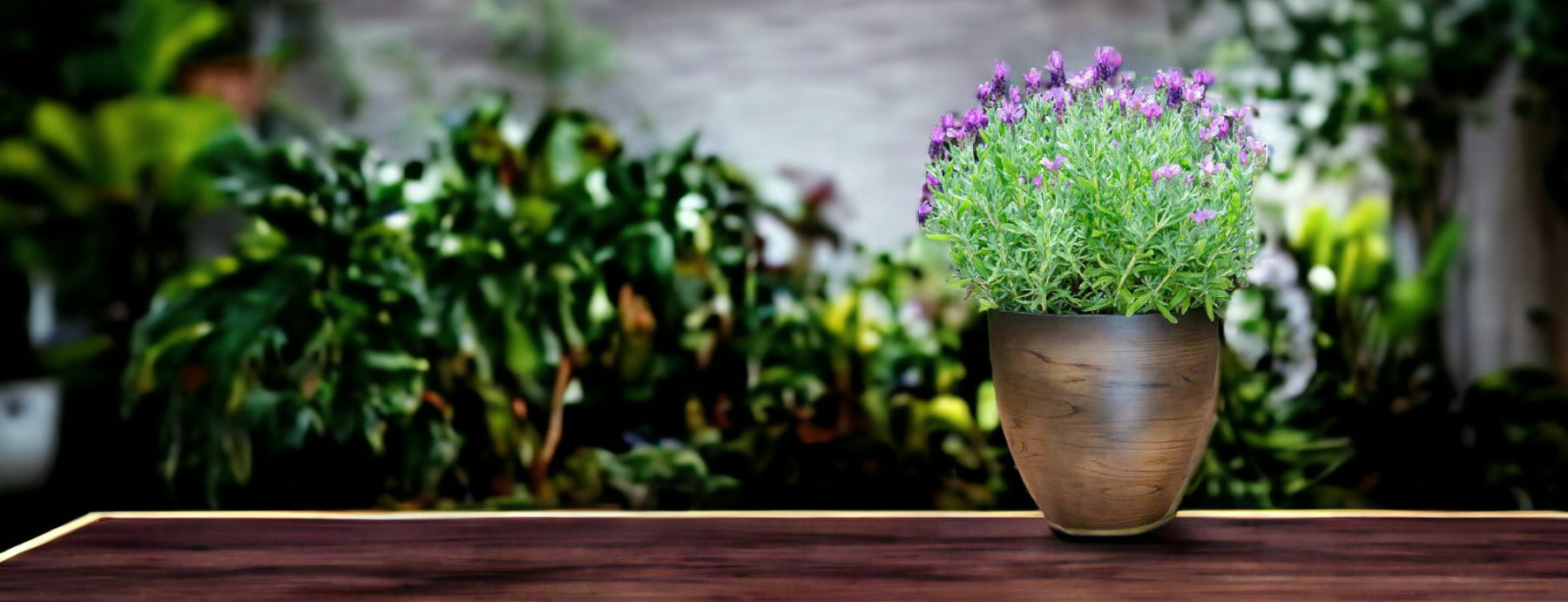 Garden scene with plant pot and plant