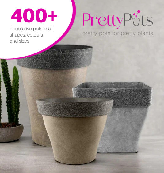 400+ decorative pots of all shapes, colours and sizes