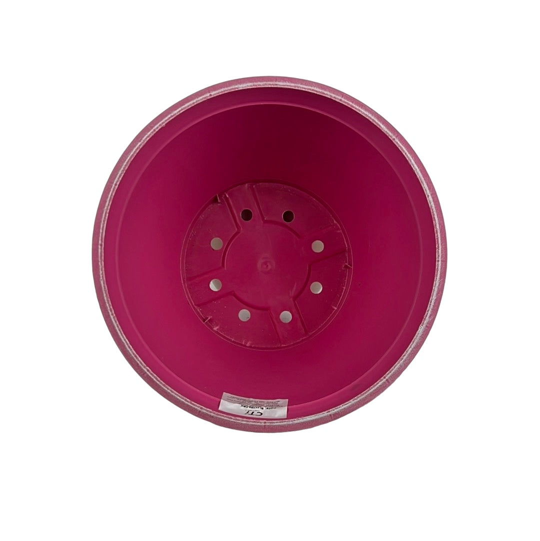 Prisma Decorative Bowl 10" Raspberry Pink