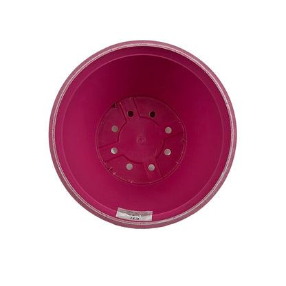 Prisma Decorative Bowl 10" Raspberry Pink